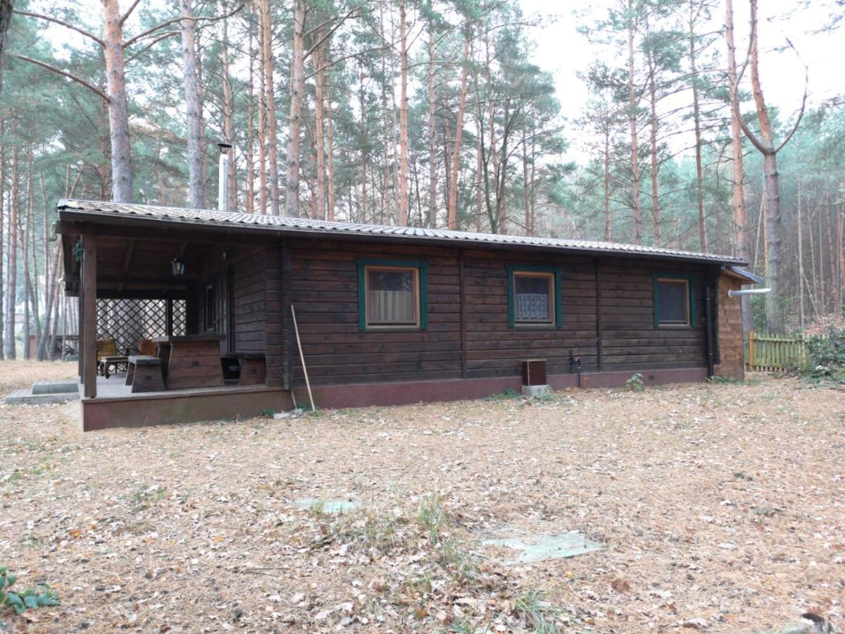 Villa Ferienhaus Waldhütte Ferch Schwielowsee Exterior foto