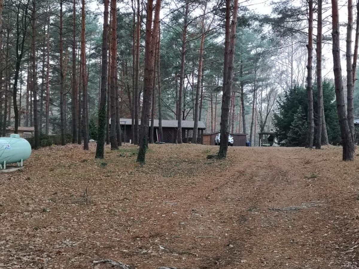 Ferienhaus Waldhütte Ferch Schwielowsee Exterior foto